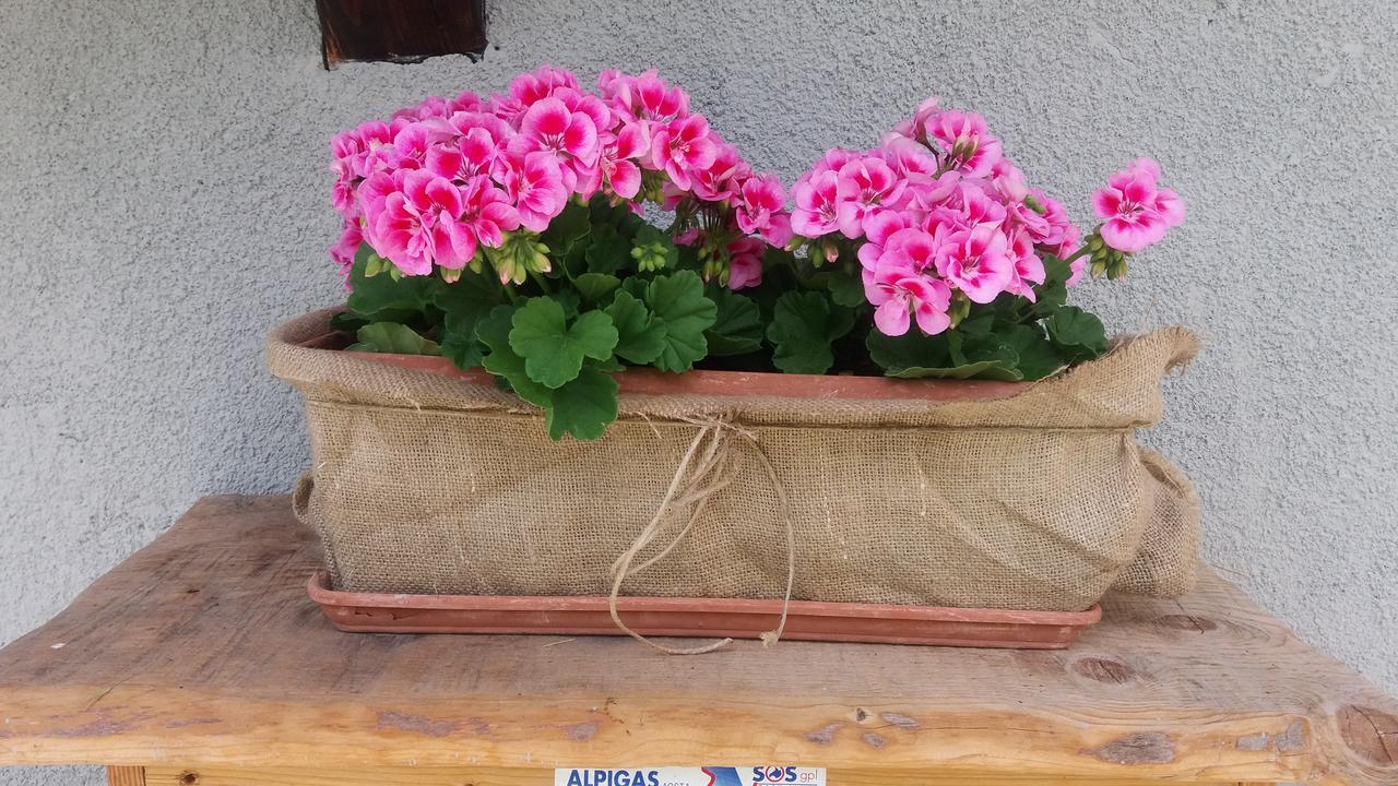 Maison Des Abeilles Vda Gressan N 0028 Dış mekan fotoğraf